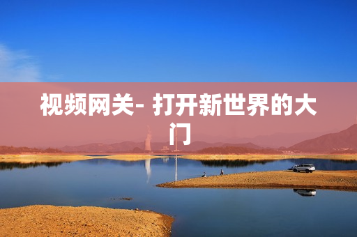 視頻網關- 打開新世界的大門