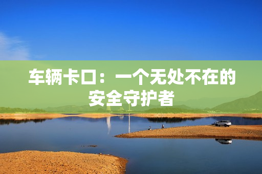 車輛卡口：一個無處不在的安全守護者