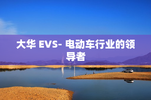 大華 EVS- 電動(dòng)車(chē)行業(yè)的領(lǐng)導(dǎo)者