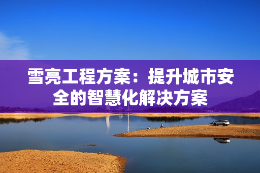 雪亮工程方案：提升城市安全的智慧化解決方案