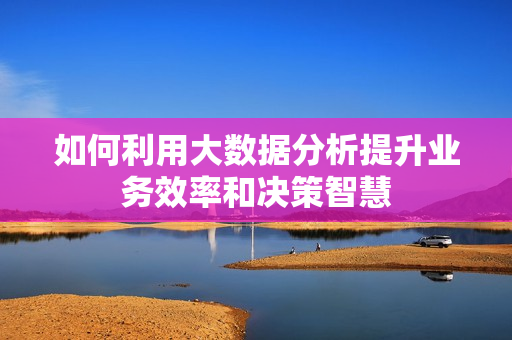 如何利用大數(shù)據(jù)分析提升業(yè)務(wù)效率和決策智慧