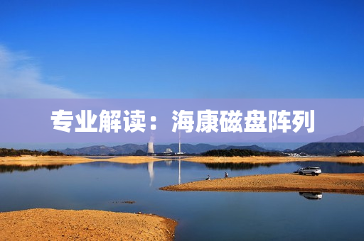 專業解讀：海康磁盤陣列