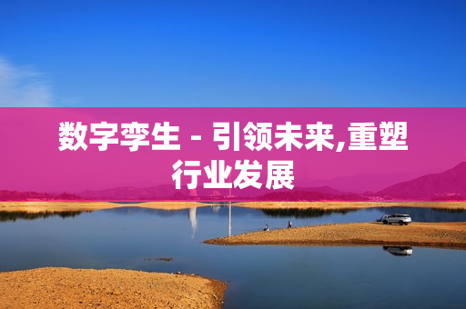 數字孿生 - 引領未來,重塑行業發展