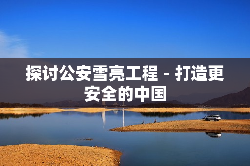 探討公安雪亮工程 - 打造更安全的中國