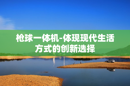 槍球一體機-體現現代生活方式的創新選擇