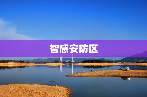 智感安防區