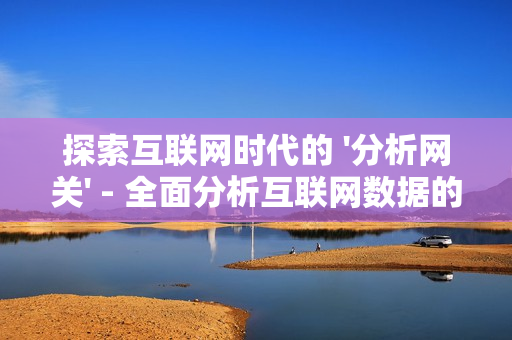 探索互聯網時代的 '分析網關' - 全面分析互聯網數據的關鍵