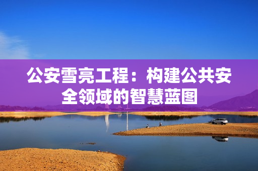 公安雪亮工程：構建公共安全領域的智慧藍圖