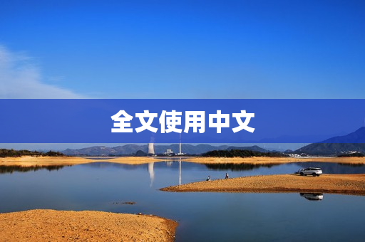 全文使用中文