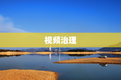視頻治理