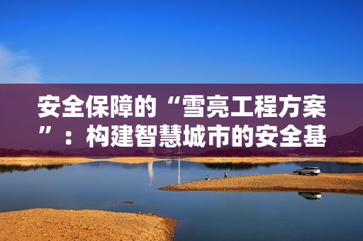 安全保障的“雪亮工程方案”：構建智慧城市的安全基石