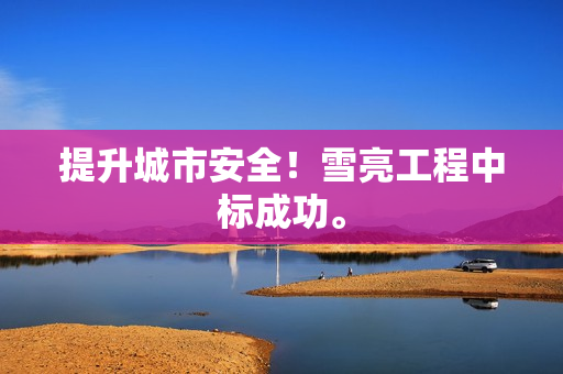 提升城市安全！雪亮工程中標成功。