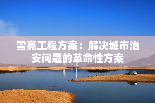 雪亮工程方案：解決城市治安問題的革命性方案