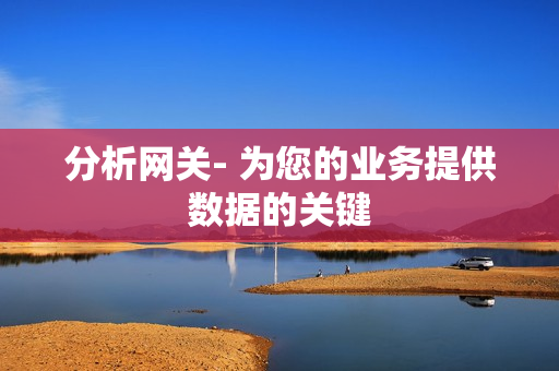 分析網關- 為您的業務提供數據的關鍵