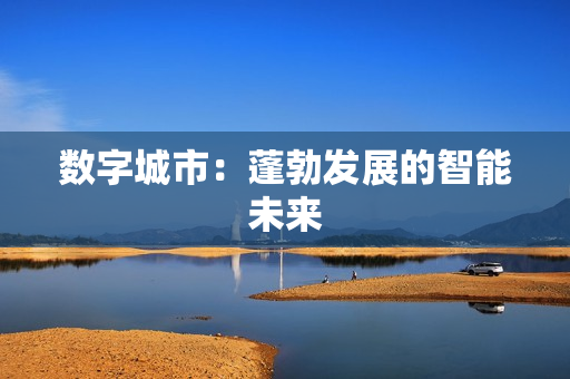 數字城市：蓬勃發展的智能未來