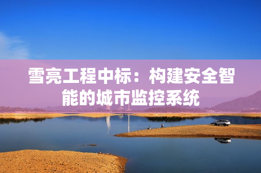 雪亮工程中標：構建安全智能的城市監控系統